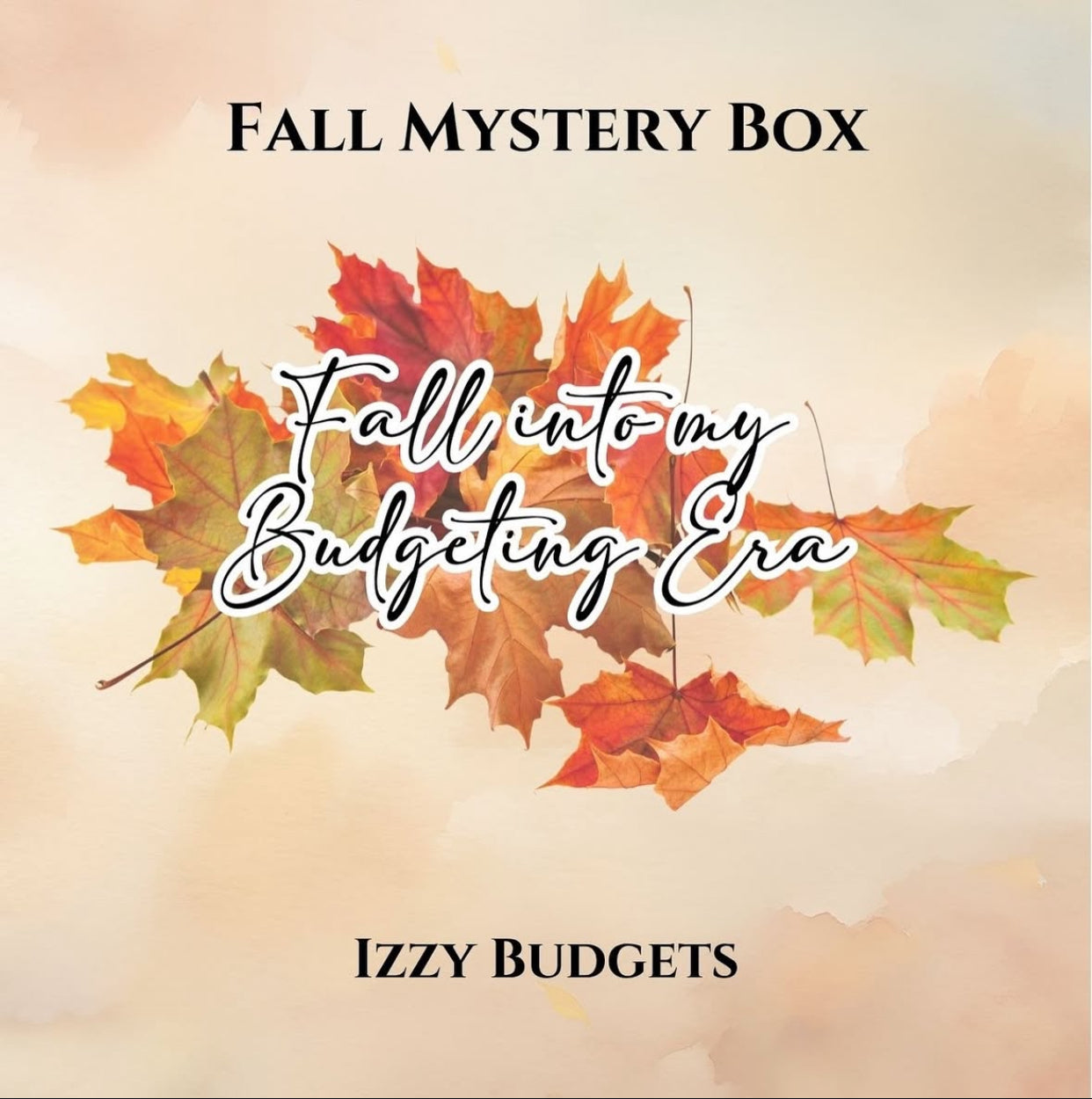PREORDER::::Fall into my Budgeting Era Mystery Box
