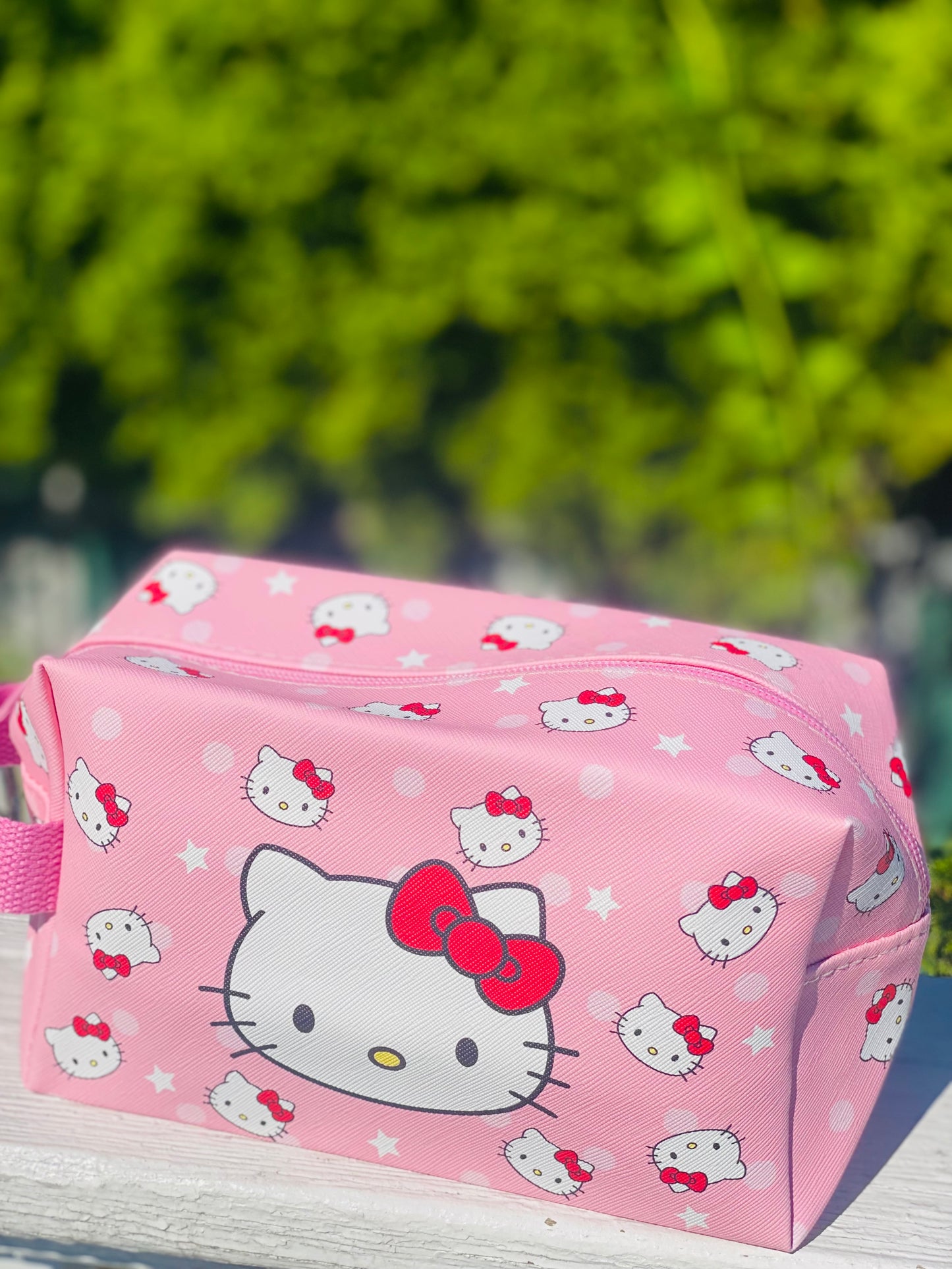 Large Essentials Pouch