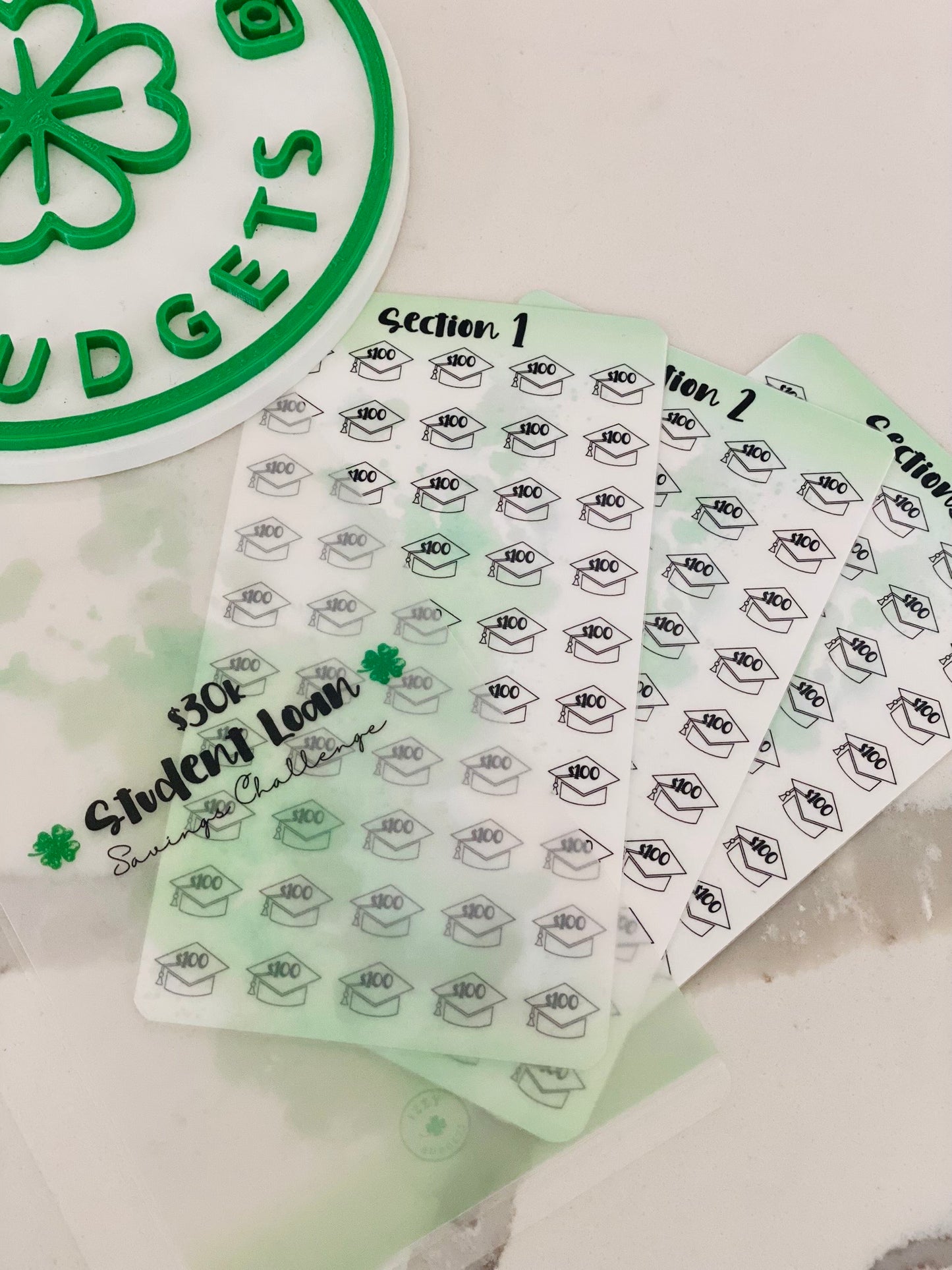 30k Student Loan Vellum Cash Envelopes & 6 laminated inserts Izzy